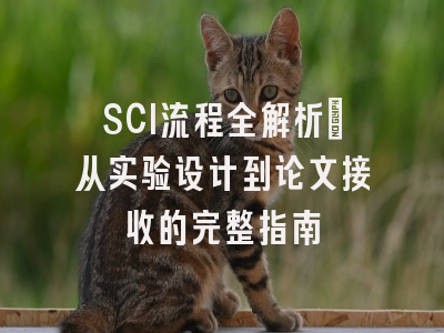 SCI流程全解析：从实验设计到论文接收的完整指南