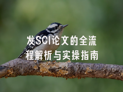发SCI论文的全流程解析与实操指南