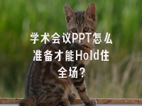 学术会议在线