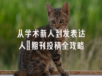 从学术新人到发表达人：期刊投稿全攻略