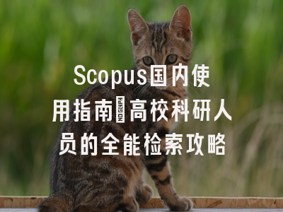 Scopus国内使用指南：高校科研人员的全能检索攻略