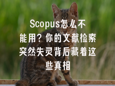 Scopus怎么不能用？你的文献检索突然失灵背后藏着这些真相