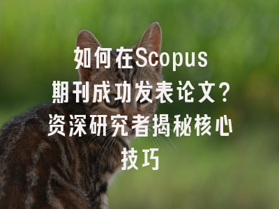 如何在Scopus期刊成功发表论文？资深研究者揭秘核心技巧