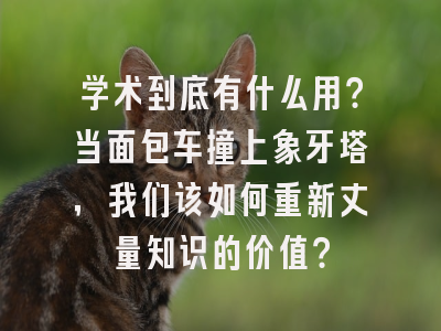 学术到底有什么用？当面包车撞上象牙塔，我们该如何重新丈量知识的价值？