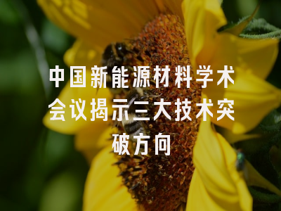 中国新能源材料学术会议揭示三大技术突破方向