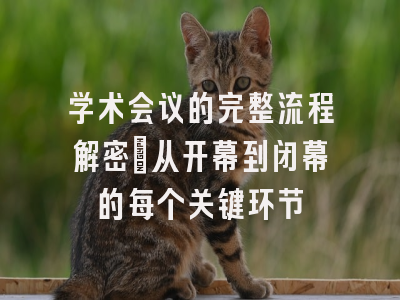 学术会议的完整流程解密：从开幕到闭幕的每个关键环节