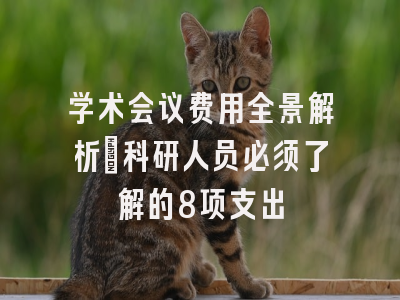 学术会议费用全景解析：科研人员必须了解的8项支出