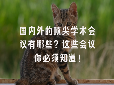 国内外的顶尖学术会议有哪些？这些会议你必须知道！