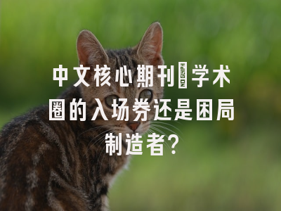 中文核心期刊：学术圈的入场券还是困局制造者？
