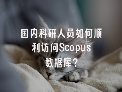国内科研人员如何顺利访问Scopus数据库？