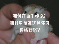 学术会议在线