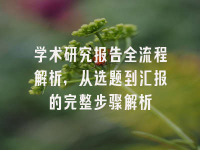 学术研究报告全流程解析，从选题到汇报的完整步骤解析