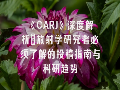 《CARJ》深度解析：放射学研究者必须了解的投稿指南与科研趋势