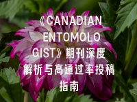 学术会议在线