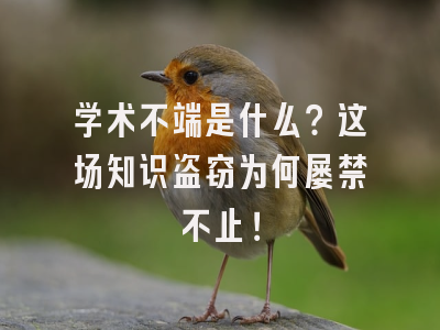 学术不端是什么？这场知识盗窃为何屡禁不止！