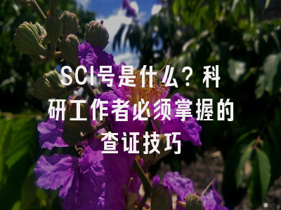 SCI号是什么？科研工作者必须掌握的查证技巧