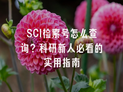 SCI检索号怎么查询？科研新人必看的实用指南