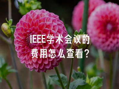 IEEE学术会议的费用怎么查看？