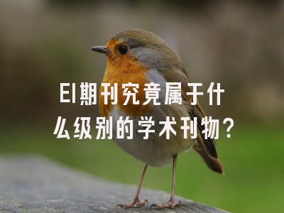 EI期刊究竟属于什么级别的学术刊物？
