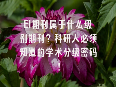 EI期刊属于什么级别期刊？科研人必须知道的学术分级密码！