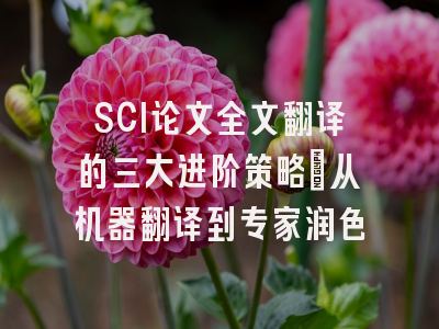 SCI论文全文翻译的三大进阶策略：从机器翻译到专家润色