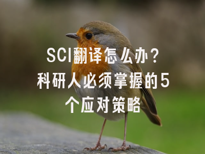 SCI翻译怎么办？科研人必须掌握的5个应对策略