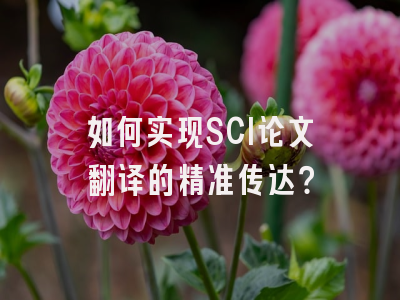 如何实现SCI论文翻译的精准传达？