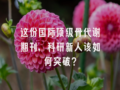 这份国际顶级骨代谢期刊，科研新人该如何突破？