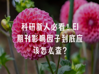 学术会议在线
