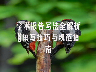 学术报告写法全解析：撰写技巧与规范指南