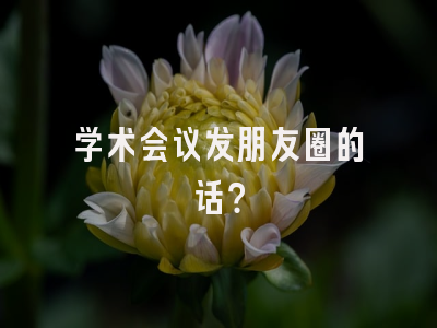 学术会议发朋友圈的话？