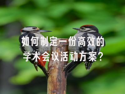 如何制定一份高效的学术会议活动方案？
