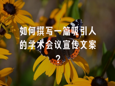 如何撰写一篇吸引人的学术会议宣传文案？