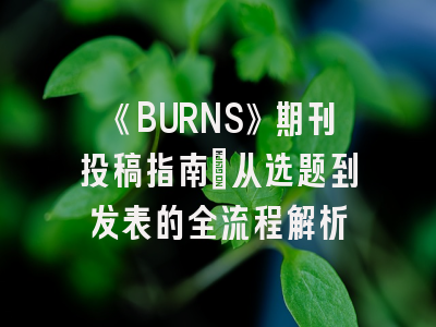 《BURNS》期刊投稿指南：从选题到发表的全流程解析