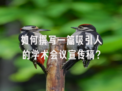 如何撰写一篇吸引人的学术会议宣传稿？