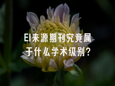 EI来源期刊究竟属于什么学术级别？