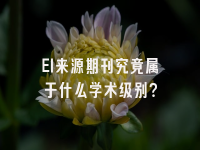学术会议在线