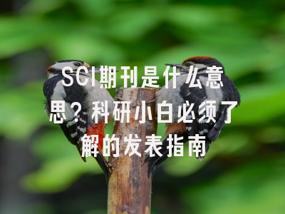 SCI期刊是什么意思？科研小白必须了解的发表指南