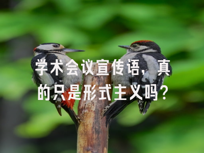 学术会议宣传语，真的只是形式主义吗？