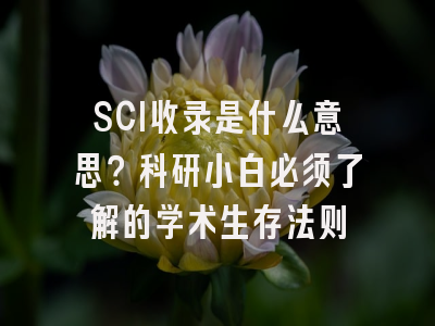 SCI收录是什么意思？科研小白必须了解的学术生存法则