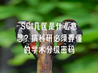 学术会议在线