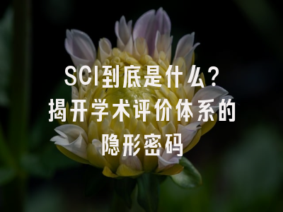 SCI到底是什么？揭开学术评价体系的隐形密码