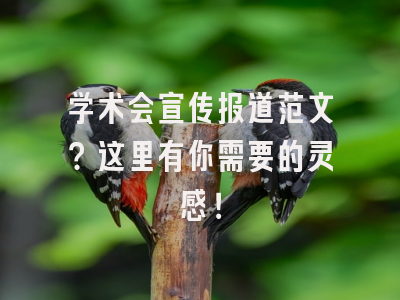 学术会宣传报道范文？这里有你需要的灵感！