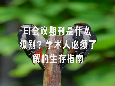 EI会议期刊是什么级别？学术人必须了解的生存指南