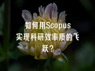 如何用Scopus实现科研效率质的飞跃？
