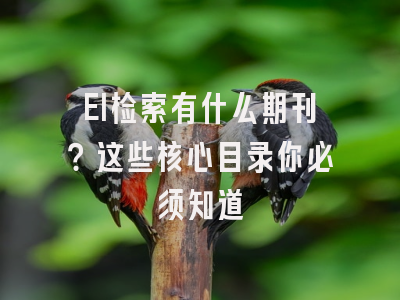 EI检索有什么期刊？这些核心目录你必须知道
