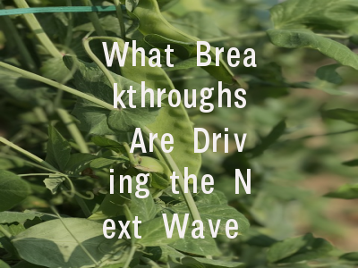What Breakthroughs Are Driving the Next Wave of Green Power Innovation?