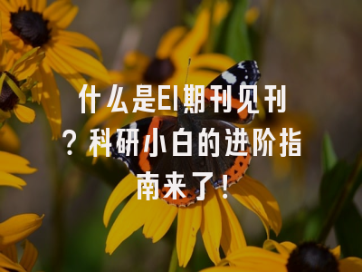 什么是EI期刊见刊？科研小白的进阶指南来了！