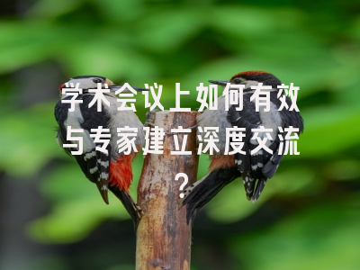 学术会议上如何有效与专家建立深度交流？