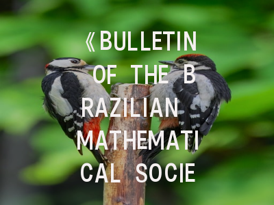 《BULLETIN OF THE BRAZILIAN MATHEMATICAL SOCIETY》发展现状与投稿实务解析